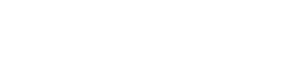 iBoosty Premium Audit